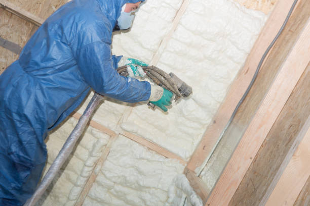 Best Insulation Replacement  in Terrell, TX